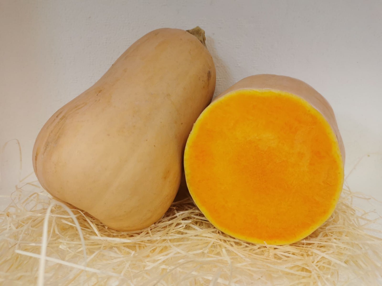 calabazaruperta.jpg