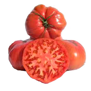 tomaterosa.jpg
